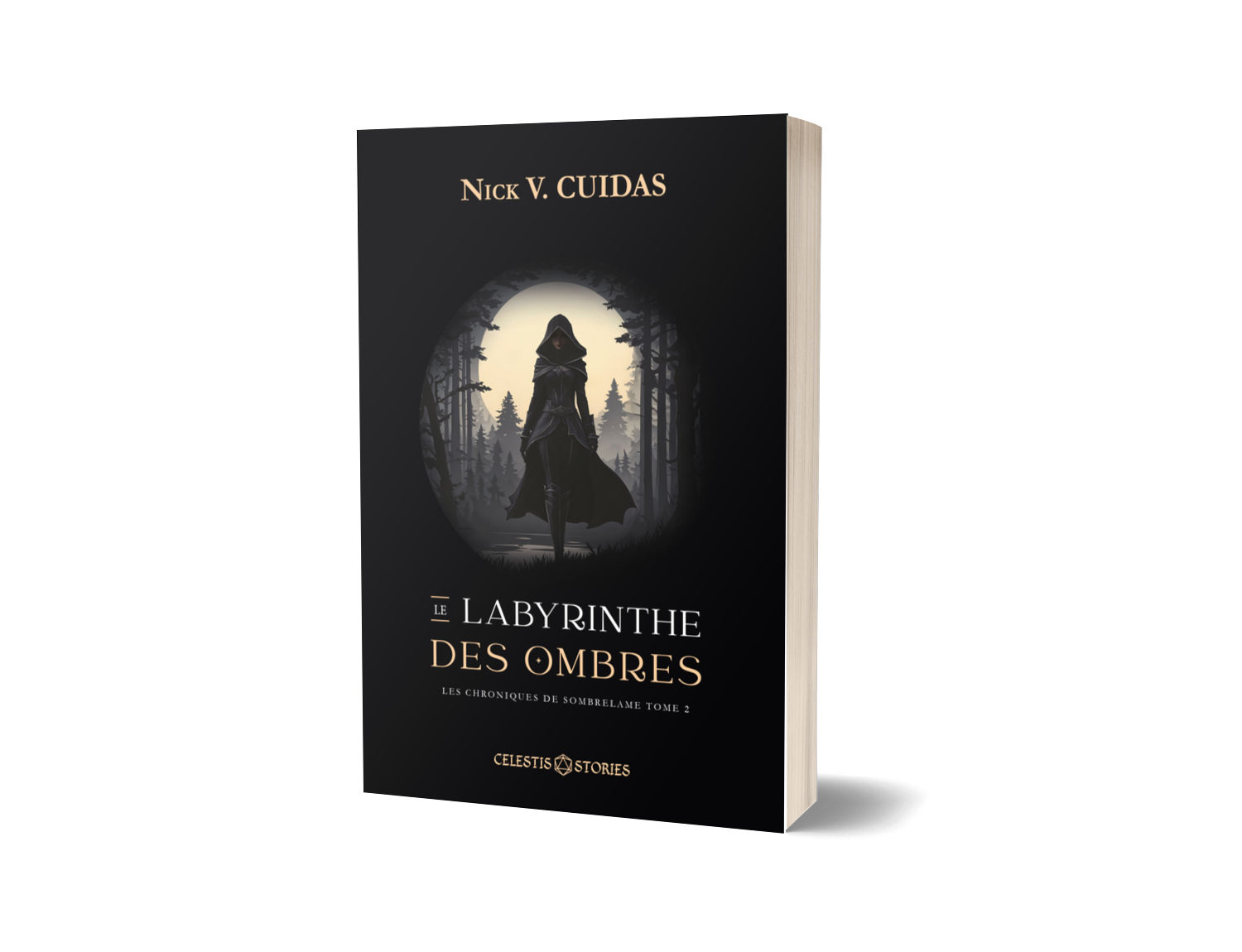 Tome 2 - Le labyrinthe des Ombres
