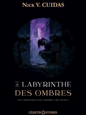 Couverture-Le-labyrinthe-des-ombres-finale-V2
