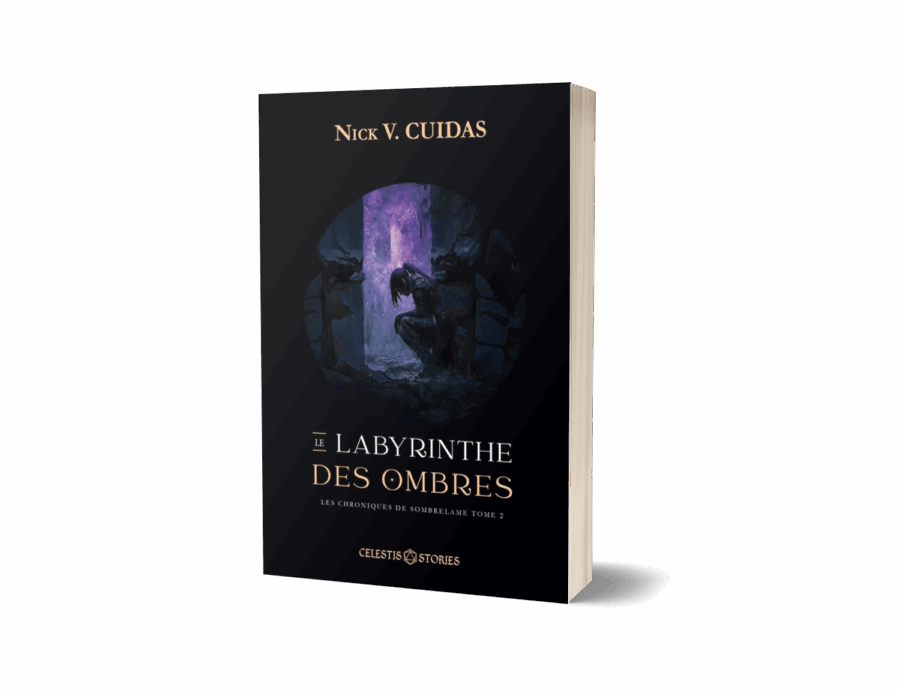 Tome 2 - Le labyrinthe des Ombres