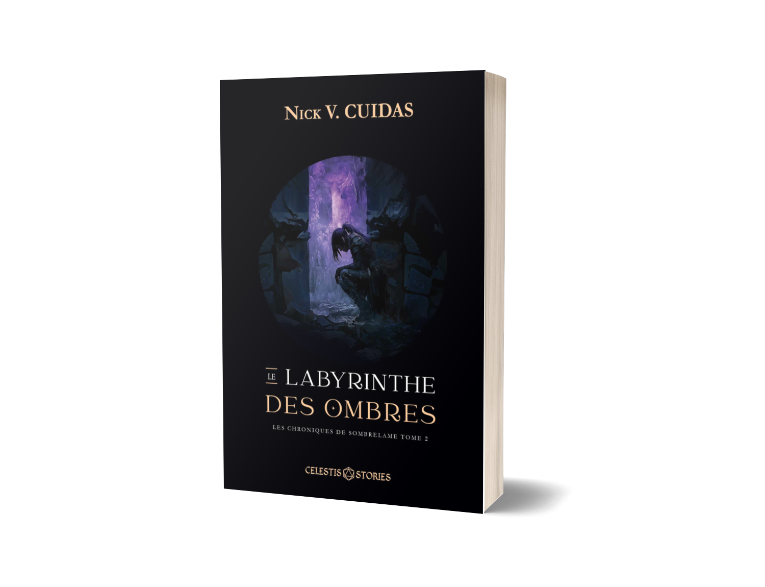 Couverture — Le Labyrinthe des Ombres